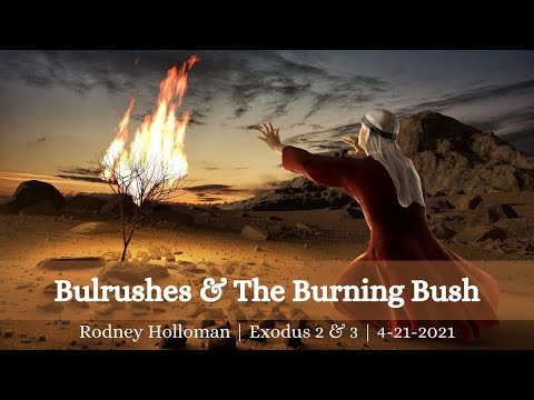 Bulrushes and Burning Bushes | Exodus 2:1-25; 3:1-22 | 04-14-2021