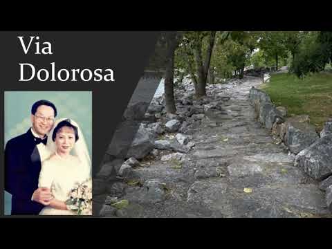 13. Fool's Silver (Luke 21:37-22:6)