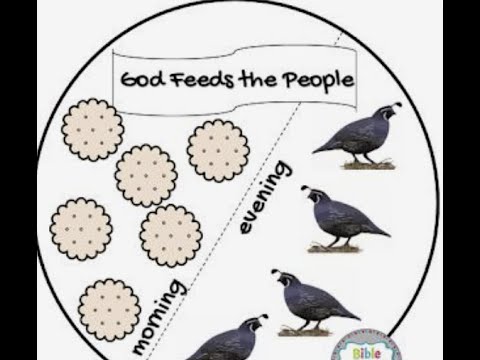 Exodus 16 :8-36 Quail & Manna Given Part 4