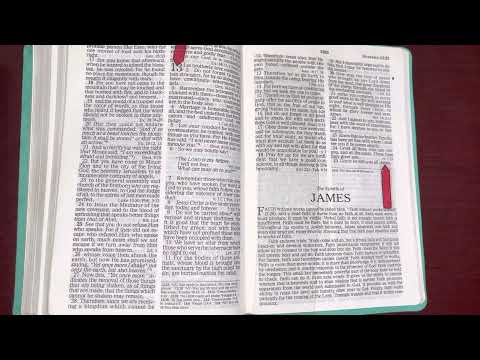 11/15/22, Psalm 116, Proverbs 15, Hebrews 13:1-25, Ezekiel 43:1-44:31 Old & New Testament