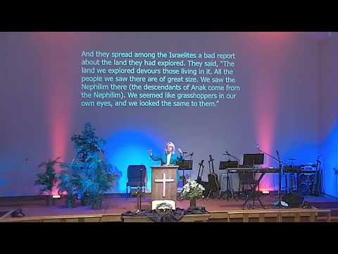 Copy of Wilderness Growth  3/20/22.   Numbers 27- 14:11