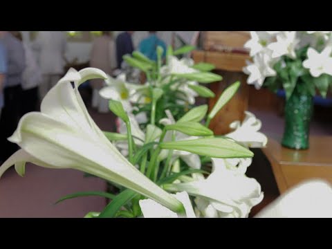 April 18th, 2021 - Third Sunday of Easter - Matthew 26: 50-54