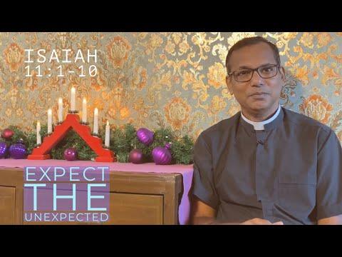 Expect the Unexpected | Isaiah 11:1-10