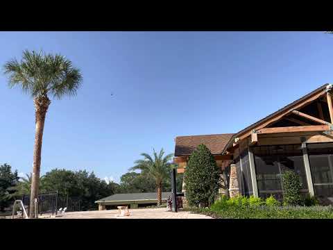 Day 204~ July 23~ 2 Chronicles 8:11-10:19, Romans 8:9-25, Psalm 18:16-36, Proverbs 19:26