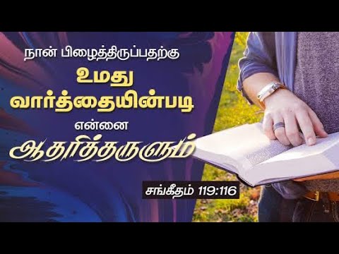 Bible Verse |September28|Psalm 119:116#daily #1minutevideo #god #bibleverse #godlovesyou #bibleverse