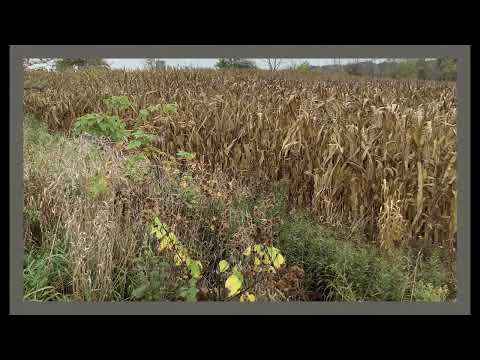 Coffee Break (5 Minutes with God) Psalm 35:7-11