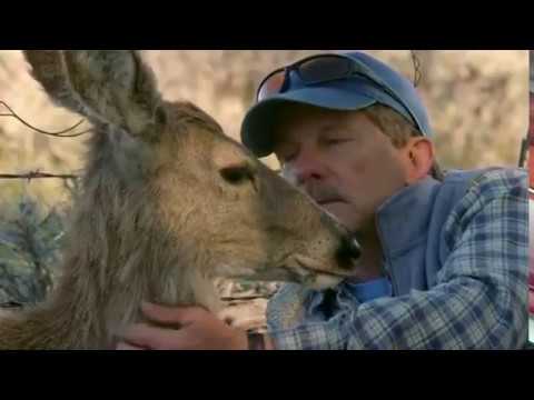 Ask The Animals And They Will Teach You - Job 12:7