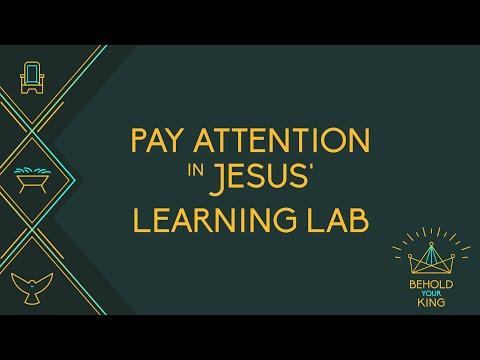 Paying Attention In Jesus' Learning Lab [Matthew 15: 29 - 16:12]