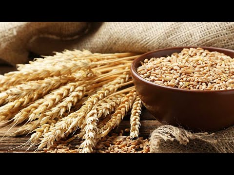 "For the sojourner, the fatherless, and the widow." Deuteronomy 24:19-22