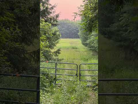 Coffee break (express) who runs hell?