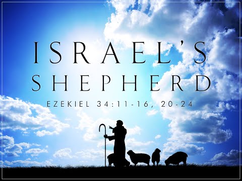 Reflections on Ezekiel 34:11-16, 20-24
