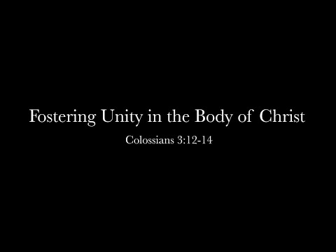 Fostering Unity in the Body of Christ (Colossians 3:12-14) | Pastor Joe Trofemuk