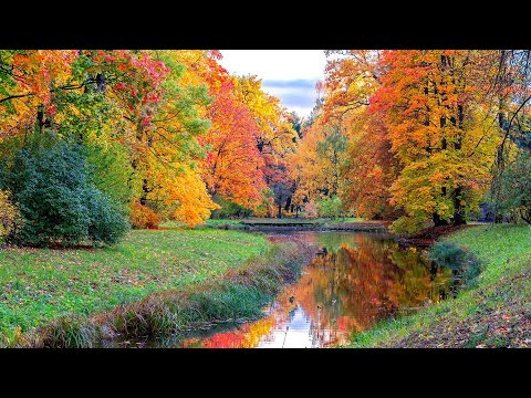 Matthew 13:1-23 - Welcome to the Mystery Kingdom