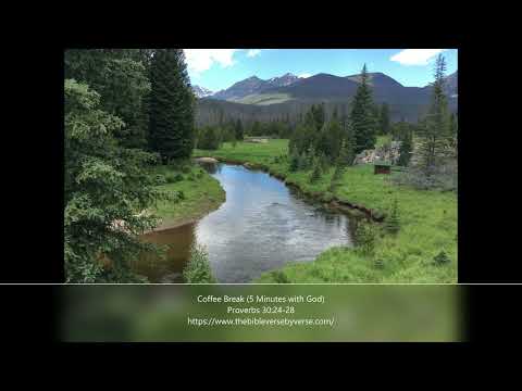 Coffee Break (5 Minutes with God)  Proverbs 30:24-28