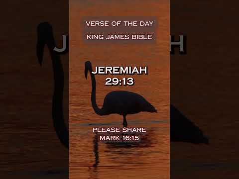 VERSE OF THE DAY - Jeremiah 29:13 #DailyScripture #BibleVerse #ChristianShorts #ScriptureOfTheDay