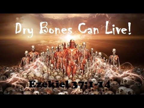 DRY BONES CAN LIVE! | Ezekiel 37:1-14