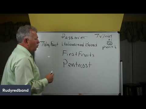 Leviticus 22:26- Bible Study 6/16/2022