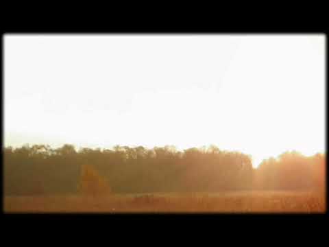 The God of the Living (Matthew 22:23-33) - Dr. John MacArthur