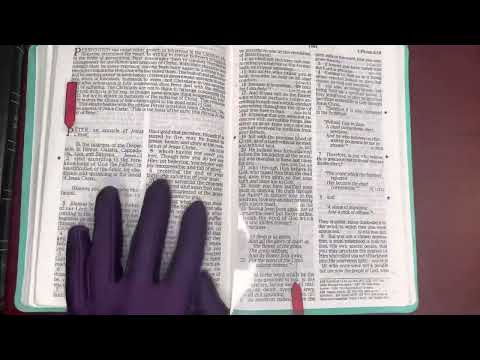 11/21/22, Psalm 119:97-128, Proverbs 21, 1Peter1:1-25, Daniel 7:1-8:27 Old & New Testament Readings