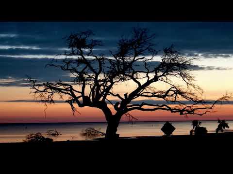 Proverbs 11:24 -- From proverb back to story (Proverbs 11:24a)