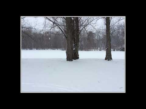 Coffee Break (5 Minutes with God) Psalm 48:6-9