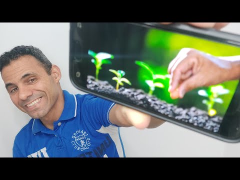 Vem e Segue-Me 15.03.2022 Na Verdade, Somos Culpados Porque Pecamos ( Genesis 42:21-22 )