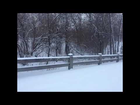 Scripture Verse By Verse (4)  Ezekiel 1:1-2:9