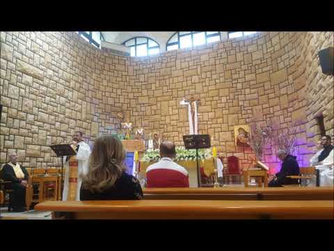 Mark 16:15-18 الأربعاء الاول  بعد القيامة