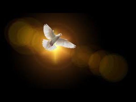 Dissipation - Scripture from the Lord-Psalms 38:10