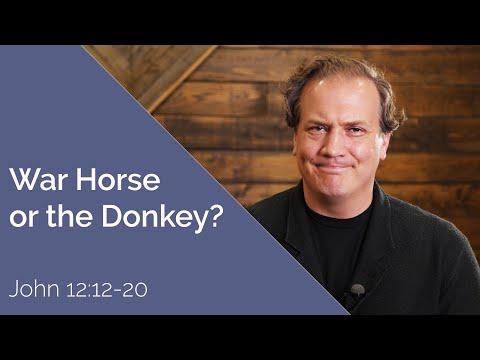 Misguided Honor: The War Horse or the Donkey || John 12:12-20