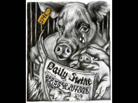 The Bay of Pigs: Matthew 8:30-32