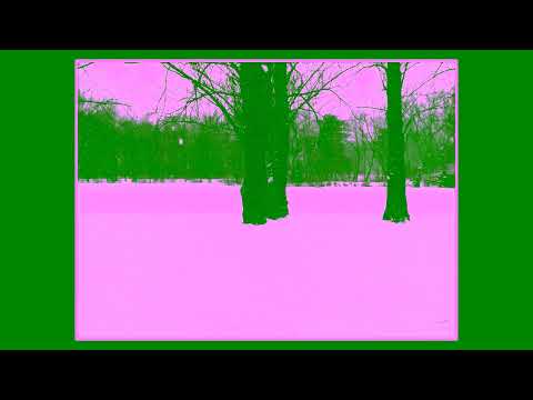 Coffee Break (5 Minutes with God) Psalm 45:16-46:3