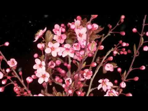 Gods word # March 24 2021# நீதிமொழிகள் / Proverbs 13:5 # Pastor.Prabhakar