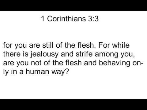 46 1 Corinthians 3:3