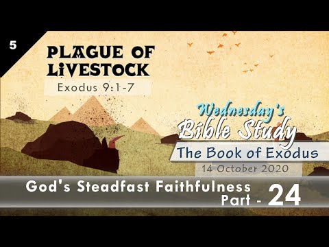 The Book of Exodus 9:1-7 _ Wednesday Bible Study _ Part 24