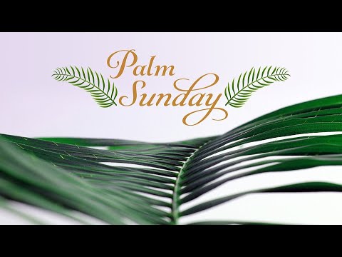 Zechariah 9:9-10; Mark 11: 1-11- Pastor Clint Lange -April 16, 2022 - "Palm Sunday Message"