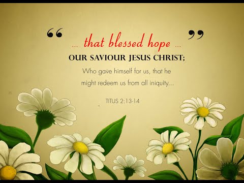 How Is the Faithful City? -  Isaiah 1:21-31