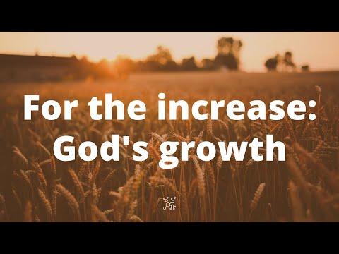 Harvest Prayers: For Increase (1 Corinthians 3:6-7)