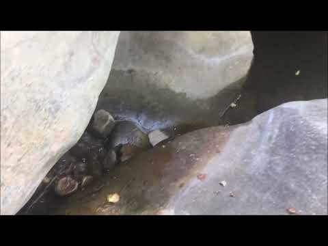 Hosea 14:4-7 | Adventure Nate