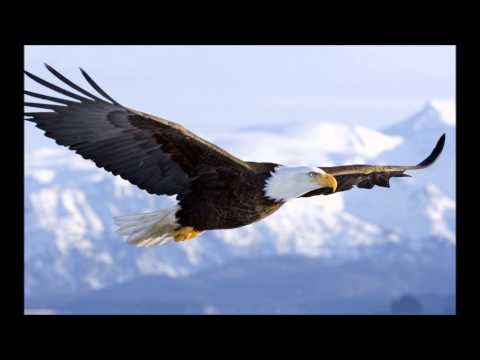 On Eagle's Wings - Exodus 19:3 - How To Be Borne Up To God By God and Enjoy Him - Pastor Troy Dukes
