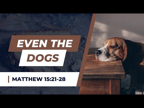 Even The Dogs [ Matthew 15:21-28 ] by Tim Cantrell