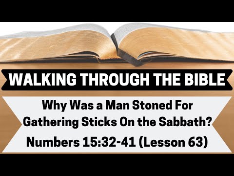 Why Was a Man Stoned For Gathering Sticks on the Sabbath? [Numbers 15:32-41][Lesson 63][WTTB]