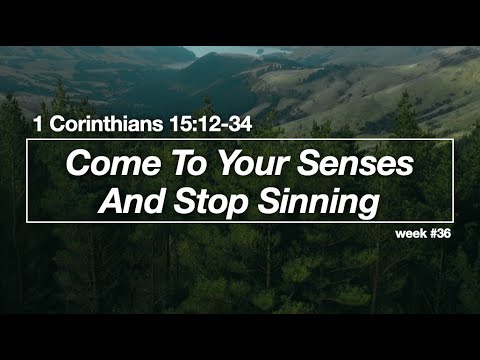 Come To Your Senses And Stop Sinning - 1 Corinthians 15:12-34