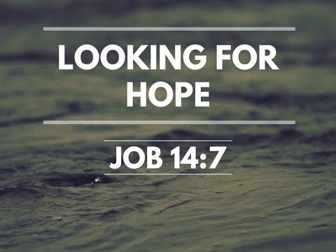 Looking For Hope | Job 14:7 | Pastor Devonshire