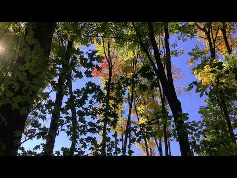 Scripture Verse By Verse (5) Psalm 69:13 24