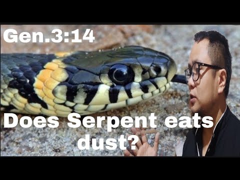 Why Genesis 3:14 did not fulfill?(Nepali)