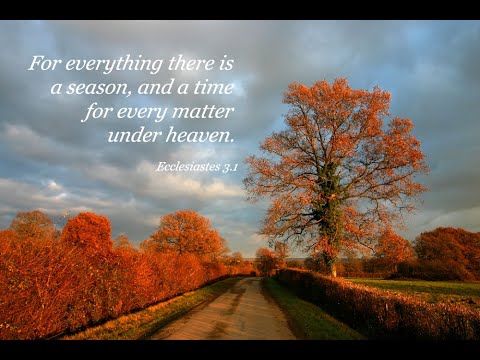 Ecclesiastes 3:1-13 (NIV) - "A Precious Gift from God" - Victory Memorial UMC