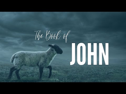 John 4:46 - 5:47 -- Thru The Bible with Damian Kyle