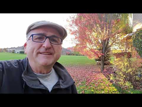 2020-10-26 Video Encouragement from Isaiah 55:1-2