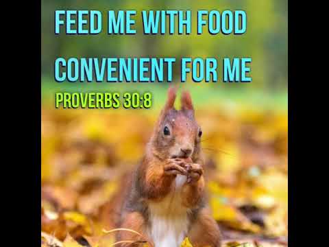 KJV Bible Songs: Give me neither poverty nor riches (Proverbs 30:8-9)